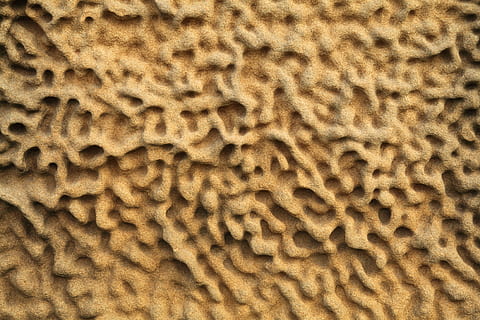 resum, fons, corbes, erosionat, erosió, geologia, naturalesa, patró, rock, sorra, gres, pedra, estructura, textura, paret, onada, groc, marró, primer pla, cap gent, marc complet, tèxtil, a l'interior, habilitat, material, disseny, aspre, dia, pell d’animals, patró natural, animal, artesania, 4K, CC0, domini públic, lliure de regalies