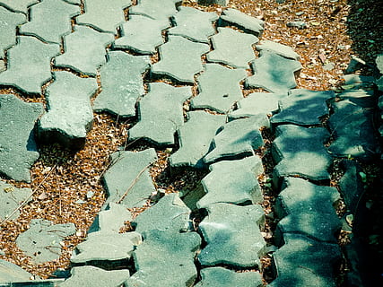 bricks, broken, road, pattern, zigzag, green, aged, sunken, scattered, rows, ground, surface, street, brickwork, damaged, aging, day, no people, nature, high angle view, water, outdoors, sunlight, full frame, cracked, close-up, textured, land, backgrounds, solid, plant, footpath, beauty in nature, paving stone, 2K, CC0, public domain, royalty free