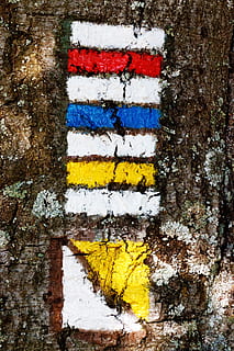 Richtung, führen, Wandern, Pfad, Kennzeichen, Referenz, Route, Zeichen, Briefmarke, Textur, Tourismus, Tourist, Spur, Baum, Ausflug, Kofferraum, Weg, Holz, Natur, Hintergründe, Wald, Muster, draußen, Holz - Material, Borke, Gelb, keine Leute, texturiert, Tag, Nahansicht, die Architektur, Wandbau - Funktion, weiße Farbe, gebaute Struktur, Farbe, Wand, gestreift, Vollbild, alt, mehrfarbig, Kunst und Handwerk, Gebäudehülle, Winter, 4K, CC0, gemeinfrei, lizenzfrei