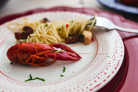 dinner, seafood pasta, crayfish, red, wine, table, decorated, roses, Fancy, seafood, pasta, red wine, elegant, octopus, food, gourmet, plate, prepared Shellfish, freshness, food And Drink, close-up, cooked, meal, crockery, healthy Eating, lobster, claw, indoors, no people, ready-to-eat, wellbeing, still life, vegetable, serving size, kitchen utensil, focus on foreground, eating utensil, indulgence, selective focus, fruit, garnish, temptation, common beet, 4K, CC0, public domain, royalty free