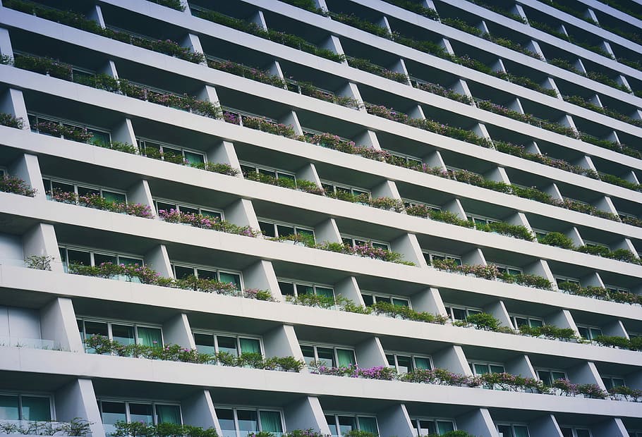 lavvinkelfotografering, hvid, bygning, haveterrasse, højhus, beton, mønster, balkon, levende, Hotel, arkitektur, bygget struktur, bygning udvendig, dag, fuld ramme, boligområde, vindue, by, i en række, ingen mennesker, udendørs, lejlighed, lav vinkel visning, sollys, natur, baggrunde, side om side, bygning funktion, 4K