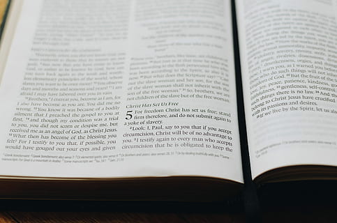 Galati 5: 1, Cristo, impostato, noi, Bibbia., libro bianco aperto, Sacre scritture, libro, testo, Bibbia, numero, capitolo, dom, nastro, segnalibro, parola, pagina, passaggio, Galati, pregare, leggere, stampare, pubblicazione, avvicinamento, in casa, nessuno, Aperto, formazione scolastica, carta, comunicazione, credenza, religione, natura morta, saggezza, letteratura, spiritualità, apprendimento, vista dall'alto, competenza, manuale, studiando, 2K, CC0, dominio pubblico, privo di copyright