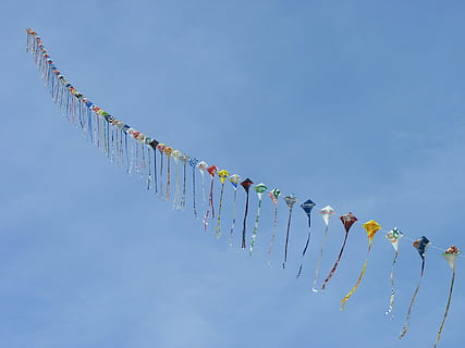 foderato, aquilone a colori assortiti, cielo, draghi, vento, autunno, volare, blu, gli aquiloni si alzano, colorato, cordone, di fila, Inquadratura dal basso, sospeso, natura, decorazione, giorno, nessuno, celebrazione, ripetizione, multicolore, fianco a fianco, evento, copia spazio, cielo sereno, all'aperto, grande gruppo di oggetti, ordine, 4K, CC0, dominio pubblico, privo di copyright