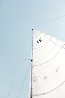 low-angle photo, white, boat, sail, sailing, flag, sea, sailboat, nautical Vessel, sport, sky, mode of transportation, low angle view, transportation, clear sky, pole, no people, nature, mast, day, water, white color, copy space, rope, outdoors, cable, wind, yacht, power supply, 5K, CC0, public domain, royalty free