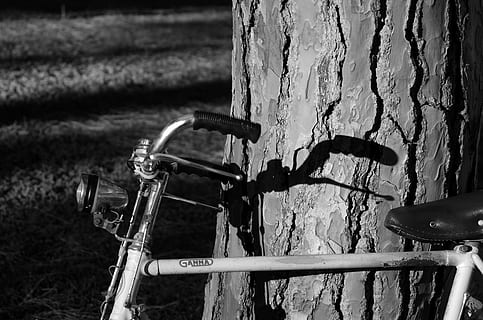 cykel, træ, skygge, cykelstyr, gammel, udendørs, gammeldags, retro stylet, ingen mennesker, dag, fokus på forgrunden, transportmidler, land køretøj, metal, murbygningsfunktion, natur, transportform, stationær, styr, fravær, tæt på, Mark, væg, græs, arkitektur, rækværk, hjul, 4K, CC0, offentligt domæne, royaltyfrie