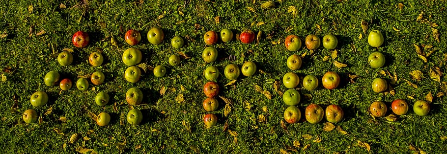 maçã, cartas, palavra, pressa, delicioso, Comida, texto, colorida, muitos, Fonte, palavras, rotulação, gráfico, saudável, cor verde, natureza, grama, plantar, origens, dia, ao ar livre, crescimento, ninguém, grande grupo de objetos, comida e bebida, Alimentação saudável, fruta, variação, diretamente acima, escolha, frescura, arranjo, bem-estar, abundância, em uma sequência, maçã - fruta, ordem, 4K