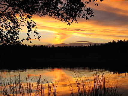 Sonnenuntergang, See, Wasser, Wolke, Sommer-, Stille, Wald, Landschaft, Sonne, Namespace für Systemreflexion, Himmel, Schönheit in der Natur, Szenen - Natur, Ruhe, ruhige Szene, Reflexion, Baum, Pflanze, Silhouette, orange Farbe, wolke - himmel, Nicht-städtische Szene, idyllisch, Natur, keine Leute, Wachstum, draußen, Reflexionssee, 1080P, CC0, gemeinfrei, lizenzfrei