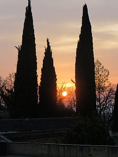 por do sol, encosta, Visão, florença, itália, Florença, Itália, árvore, ninguém, silhueta, Dom, natureza, céu, plantar, cor laranja, beleza na natureza, arquitetura, estrutura construída, scenics - natureza, crescimento, ao ar livre, tranquilidade, luz solar, cena tranquila, o passado, história, 4K, CC0, domínio público, royalty free