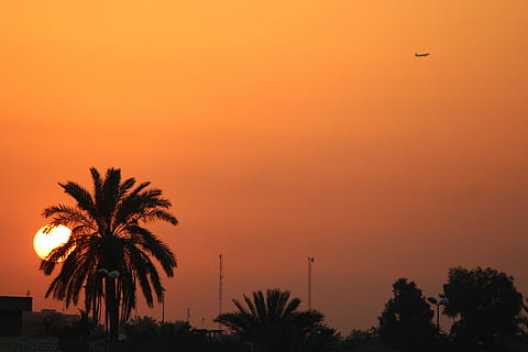 Sonnenuntergang, Daten, Baum, Orange, Sonne, Flugzeug, Irak, Himmel, Silhouette, Pflanze, Palme, tropisches Klima, orange Farbe, Natur, keine Leute, Szenen - Natur, Schönheit in der Natur, Ruhe, ruhige Szene, draußen, Flachwinkelansicht, Reiseziele, Dämmerung, idyllisch, kopieren sie platz, romantischer Himmel, Kokospalme, 5K, CC0, gemeinfrei, lizenzfrei