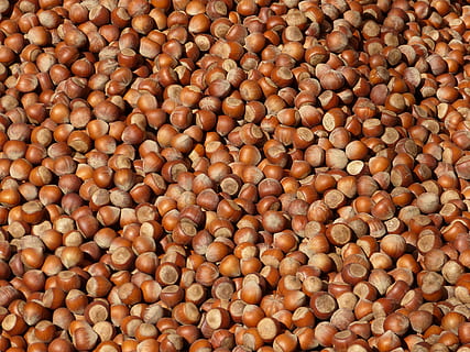 banyak kemiri, kacang, gila, kacang hazel, kulit, coklat, pasar, makanan, lezat, bergizi, latar belakang, makanan dan minuman, bingkai penuh, sekelompok besar objek, kelimpahan, kesegaran, makan sehat, tidak ada orang, kesejahteraan, masih hidup, merapatkan, kacang - makanan, tampilan sudut tinggi, dalam ruangan, pengulangan, buah, makanan mentah, keluarga legum, 4K, CC0, domain publik, bebas royalti