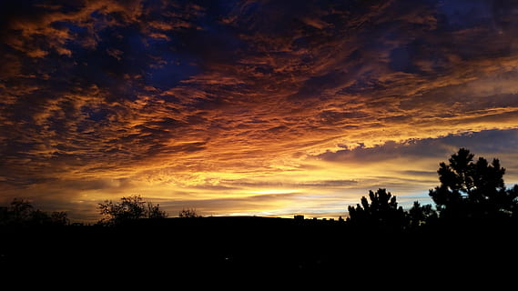 silhuet foto, solnedgang, himmel, skyer, blå, mørke skyer, overdækket himmel, skyer form, over skyerne, himlen, aftenhimmel, spotlight, landskab, træer, flyvningen, natur, sjov, følelser, jorden, planet, mars, luft, skumring, sol, sollys, udendørs, sky - himmel, sommer, orange farve, silhuet, scenics, træ, skønhed i naturen, scenics - natur, ro, rolig scene, plante, dramatisk himmel, ingen mennesker, idyllisk, miljø, mørk, ikke-urbane scene, 5K, CC0, offentligt domæne, royaltyfrie