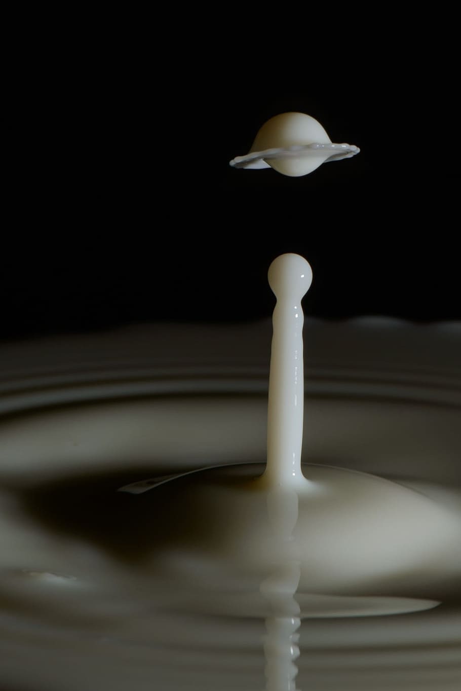 Auswirkung, Tropfen, Milch, wolle, Pilz, Makro, Detail, Spiel, sprühen, Kollision, weiße Farbe, ein Tier, keine Leute, schwarzer Hintergrund, Studioaufnahme, Tierthemen, Vogel, drinnen, Tier, Nahansicht, Bewegung, Wirbeltier, Wasser, Tierwelt, Getränk, Tiere in freier Wildbahn, Natur, plantschen, Milchprodukt, 1080P
