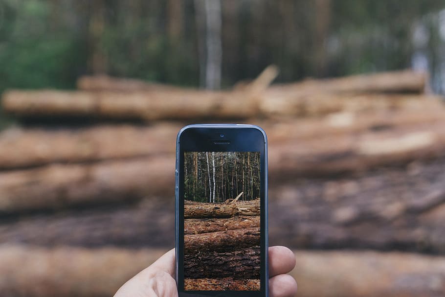 bosc, mans, iphone, naturalesa, smartphone, prendre fotos, tecnologia, arbres, tecnologia sense fils, telèfon intel·ligent, telèfon mòbil, dispositiu d’informació portàtil, comunicació, pantalla del dispositiu, centrar-se en primer pla, dia, pantalla, mà humana, mà, part del cos humà, celebració, una persona, temes de fotografia, primer pla, perspectiva personal, fotografiar, a l'aire lliure, activitat, persona irreconeixible, dit, 5K