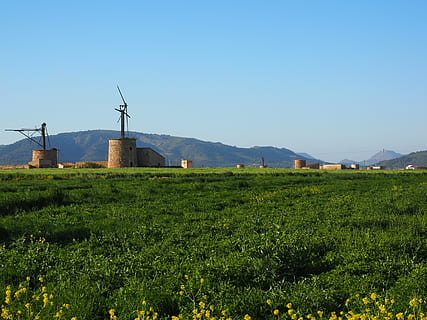 moara de vant, vechi, expirat, ruina, mallorca, muro, moară, energie eoliana, aripă, Putere eoliana, dărăpănat, agricultură, fără sens, spart, bauruinen, combustibil și generarea de energie electrică, mediu inconjurator, energie regenerabila, Energie alternativa, turbină eoliană, conservarea mediului, turbină, cer, peisaj, plantă, natură, cer senin, mori tradiționale de vânt, camp, rural, teren, arhitectură, frumusețe în natură, construită, nici o persoana, în aer liber, 4K, CC0, domeniu public, fără drepturi de autor
