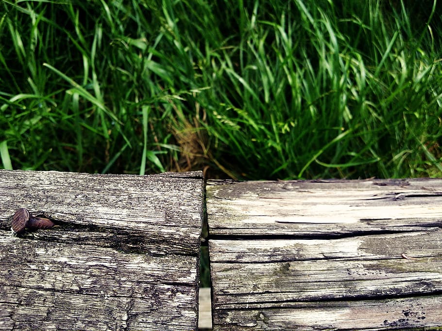 Holzmaserung, Baum, Struktur, Holz, Korn, Baum, Struktur, Holz Textur, Baumgitter, Zaun, Wald, Nagel, Zaunpfosten, Gartenzaun, braun, Holzzaun, Natur, verwittert, Latten, Tafel, rustikal, Textur, Gras, Grün, Grashalm, Wiese, Holz - Material, draußen, keine Leute, Tag, grüne Farbe, Nahansicht, Pflanze, Brett, texturiert, Fokus auf den Vordergrund, Sonnenlicht, Land, Promenade, High Angle View, Wachstum, Borke, 2K