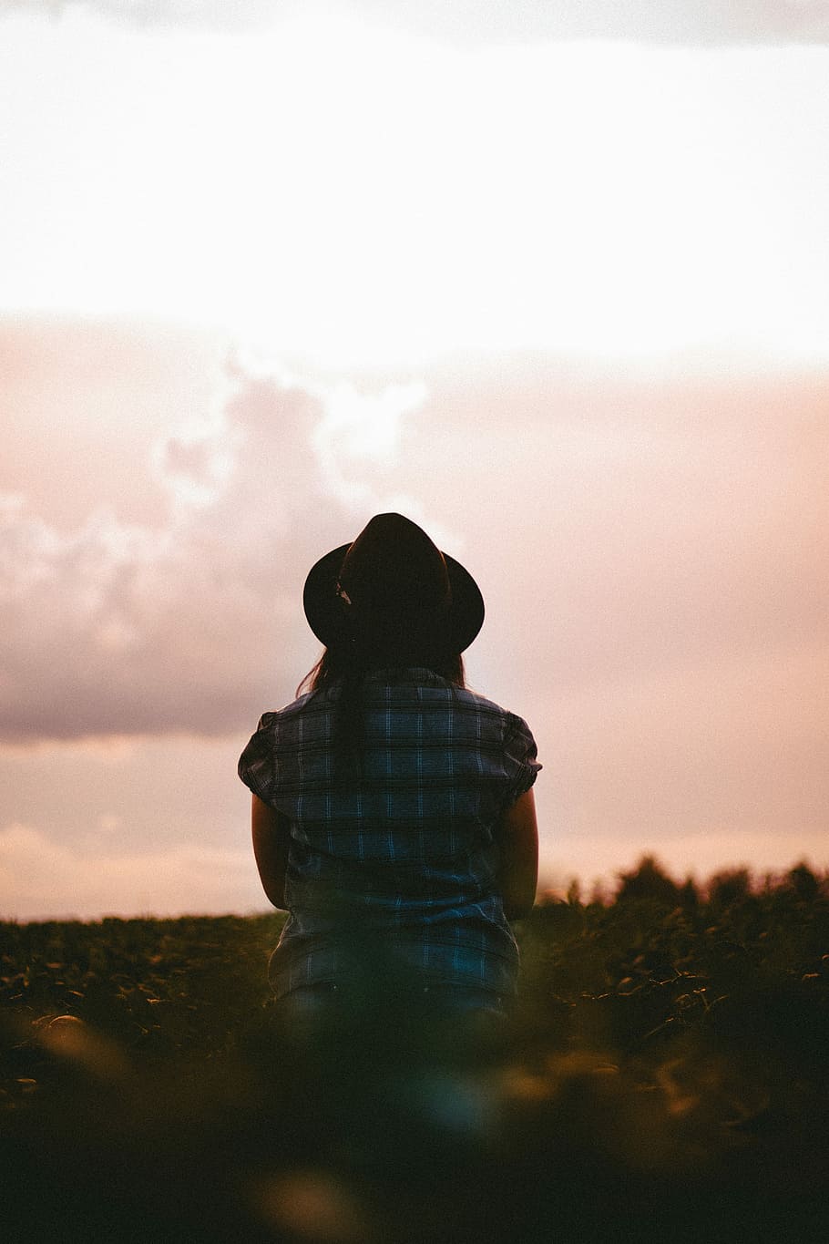 kvinde, leder, himmel, stående, planter, iført, sort, cowboy hat, bag, tilbage, hat, daggry, skumring, kærlighed, stil, portræt, liv, naturlig, natur, Mark, pige, rigtige mennesker, en person, solnedgang, sky - himmel, bagfra, fritidsaktivitet, livsstil, herrer, sidder, skønhed i naturen, barn, plante, jord, udendørs, Kvinder, hanner, kigger på visning, 4K