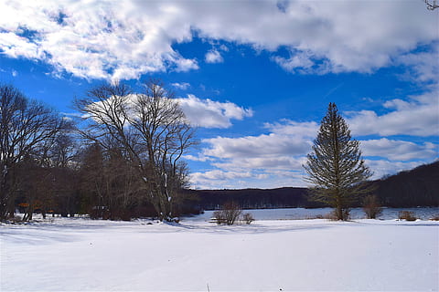 la neve, alberi, nuvole, bianca, cielo, blu, inverno, freddo, paesaggio, brina, natura, stagione, ghiaccio, foresta, nevicata, all'aperto, panoramico, luce, parco, soleggiato, congelato, invernale, pino, ze, tempo metereologico, luce del sole, luminosa, contrasto, naturale, rurale, lago ashroe, NJ, albero, freddo - temperatura, Paesaggi, scena non urbana, scena rurale, temperatura fredda, nuvola - cielo, Colore bianco, pianta, la tranquillità, bellezza nella natura, scena tranquilla, scenics - natura, terra, ambiente, campo, nessuno, montagna innevata, albero di conifere, 4K, CC0, dominio pubblico, privo di copyright