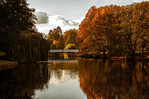 perdut a la natura, blanc, pont, riu, arbres, durant el dia, foto, tardor, parc, arbre, reflexió, llac, recomanador fresc, visita nova, nou, Deutschland, Alemanya, canviant d'humor, cànon, perfecció, cel, aigua, planta, naturalesa, tranquil·litat, bellesa a la natura, cap gent, davant del mar, escenics - natura, escena tranquil·la, arquitectura, núvol - cel, canvi, estructura construïda, a l'aire lliure, col·lecció de tardor, 5K, CC0, domini públic, lliure de regalies