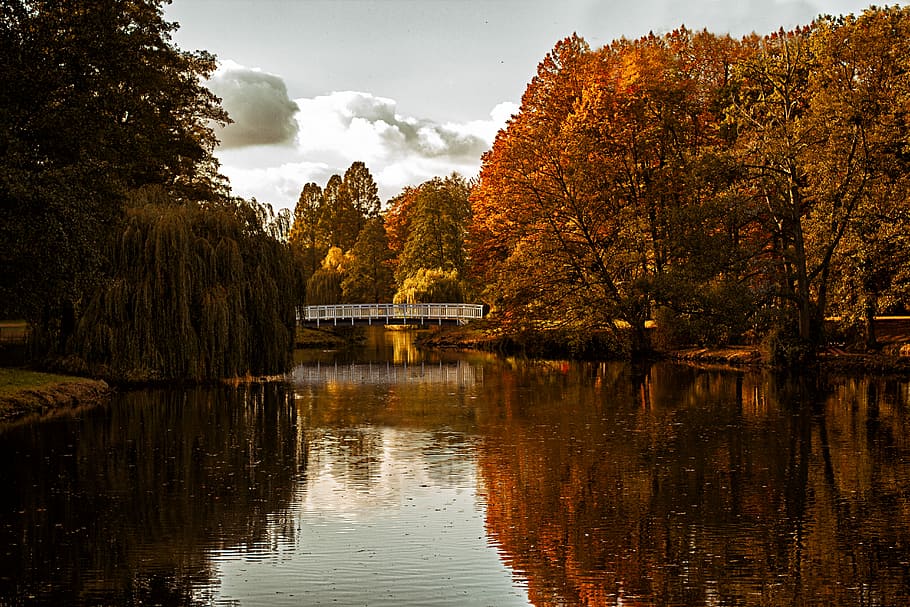 perdut a la natura, blanc, pont, riu, arbres, durant el dia, foto, tardor, parc, arbre, reflexió, llac, recomanador fresc, visita nova, nou, Deutschland, Alemanya, canviant d'humor, cànon, perfecció, cel, aigua, planta, naturalesa, tranquil·litat, bellesa a la natura, cap gent, davant del mar, escenics - natura, escena tranquil·la, arquitectura, núvol - cel, canvi, estructura construïda, a l'aire lliure, col·lecció de tardor, 5K
