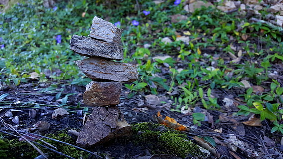 Cairn, roques, pila, equilibri, naturalesa, estabilitat, tranquil, zen, pedra, natural, pacífica, símbol, meditació, harmonia, planta, terra, creixement, cap gent, dia, camp, centrar-se en primer pla, sòlid, part de la planta, full, primer pla, color verd, a l'aire lliure, rock, arbre, rock - object, bosc, pedra - objecte, 2K, CC0, domini públic, lliure de regalies