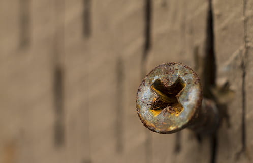 fons, textura, cargol, metall, rovellat, brut, corrosió, envellit, marró, metàl·lic, ungles, fusta, macro, acer, espatllat, erosió, resistent, vell, material de fusta, passat de moda, antiguitat, porta, ferro - metall, primer pla, cap gent, centrar-se en primer pla, dia, a l'aire lliure, entrada, seguretat, protecció, aixafar, forma, bloqueig, deteriorament, 2K, CC0, domini públic, lliure de regalies