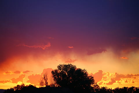 Sonnenuntergang, Kontrast, Baum, Farben, verblassen, Silhouette, Dramatischer Himmel, Natur, orange Farbe, Himmel, Pflanze, wolke - himmel, Schönheit in der Natur, Szenen - Natur, Ruhe, ruhige Szene, keine Leute, idyllisch, draußen, Wachstum, Dämmerung, Sonnenlicht, Wipfel, romantischer Himmel, 5K, CC0, gemeinfrei, lizenzfrei