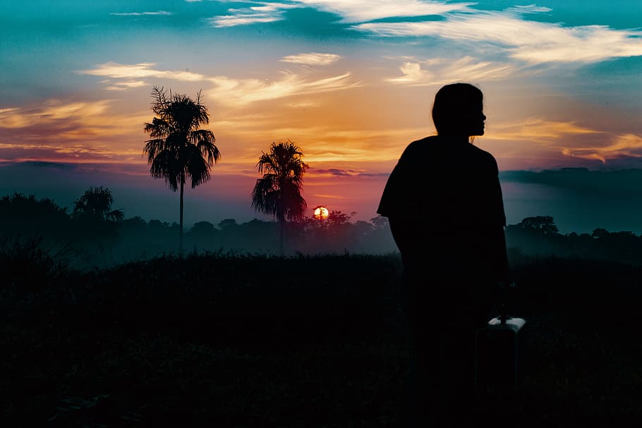 fotografia de silueta, persona, de peu, lluny, arbres, daurat, hores, foto de la silueta, humà, arbres de coco, silueta, foto, coco, posta de sol, cel, homes, naturalesa, gent, vespre, retroil·luminat, a l'aire lliure, núvol - cel, una persona, bellesa a la natura, escenics - natura, arbre, color taronja, tranquil·litat, persones reals, escena tranquil·la, terra, estils de vida, activitat d'oci, planta, idíl·lic, mirant la vista, 5K