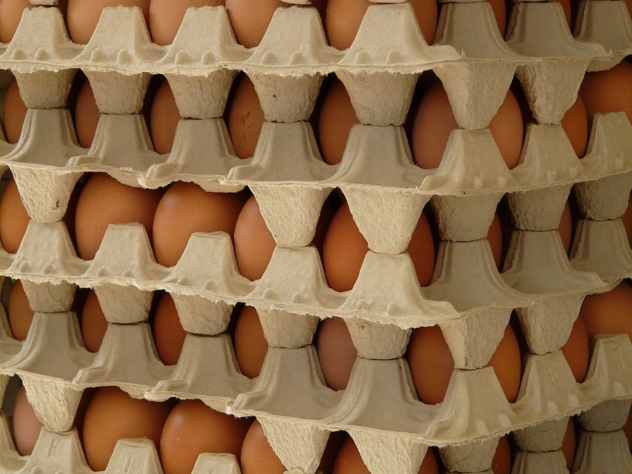 ou, caixa d’òvuls, menjar, menjar i beguda, marc complet, cap gent, en fila, frescor, gran grup d'objectes, costat a costat, abundància, fons, primer pla, alimentació saludable, a l'interior, repetició, benestar, cartró d'ous, arranjament, ordre, marró, temptació, safata, 2K