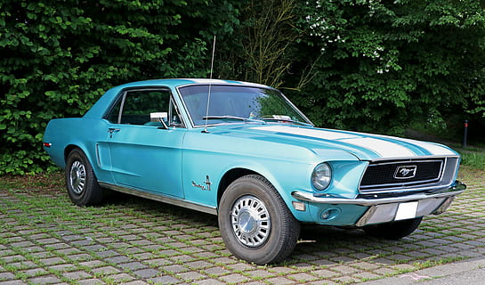 Blau, Ford Mustang Coupé, Grün, Laubbaum, tagsüber, Auto, Oldtimer, klassisch, Automobil, Fahrzeuge, pkw, Personenkraftwagen, Oldtimer Automobil, coole Figur, Mustang, nostalgisch, historisch, Ford Mustang, Ford, amerikanisches Auto, Transportmittel, Kraftfahrzeug, Transport, Landfahrzeug, Retro-Stil, Sammlerauto, Tag, Sportwagen, Metall, Stadt, keine Leute, stationär, Seitenansicht, Baum, draußen, alt, Antiquität, Luxus, Chrom, silberfarben, Rad, 5K, CC0, gemeinfrei, lizenzfrei