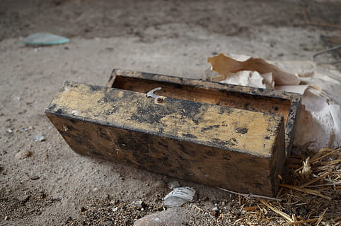 chest, old, earth, leave, box, abandoned, no people, day, land, nature, metal, damaged, group of animals, wood - material, animal, focus on foreground, field, outdoors, domestic, animal themes, dirt, high angle view, obsolete, pets, deterioration, messy, ruined, 4K, CC0, public domain, royalty free