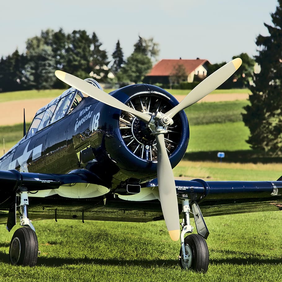 blå biplan, propellplan, fly, luftfart, historisk, frontal, sort, oldtimer, landet, sport, luftfartsindustrien, luftfartøj, udendørs, militær, dag, græs, lufthavn bane, pilot, plante, Mark, transportmidler, transportform, natur, hjul, jord, ingen mennesker, træ, grøn farve, himmel, propel, vækst, fokus på forgrunden, sollys, 1080P