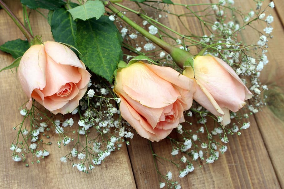 tre, beige, Rose, Marrone, di legno, superficie, fiori, mazzo, composizione, natura, cibo e bevande, cibo, freschezza, vista dall'alto, avvicinamento, in casa, nessuno, mangiare sano, giorno, legno - materiale, pianta, tavolo, foglia, parte vegetale, fiore, rosa, benessere, bellezza nella natura, natura morta, testa di fiore, 2K