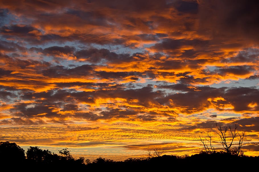 tramonto, cielo, rosa, arancia, blu, nuvole, stratificato, orizzonte, alberi, Australia, nuvola - cielo, bellezza nella natura, scenics - natura, colore arancione, silhouette, la tranquillità, scena tranquilla, cielo drammatico, idilliaco, albero, pianta, nessuno, natura, soggezione, scena non urbana, Inquadratura dal basso, all'aperto, cielo romantico, 2K