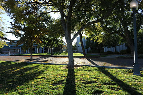 alberi, ombre, natura, luce, paesaggio, verde, stagione, naturale, panoramico, pianta, luce del sole, soleggiato, legna, ramo, fogliame, edifici, contea di saldatura, albero, erba, parco, ombra, colore verde, crescita, tronco d'albero, parco - spazio creato dall'uomo, tronco, giorno, nessuno, sentiero, all'aperto, architettura, campo, la tranquillità, terra, treelined, 5K, CC0, dominio pubblico, privo di copyright