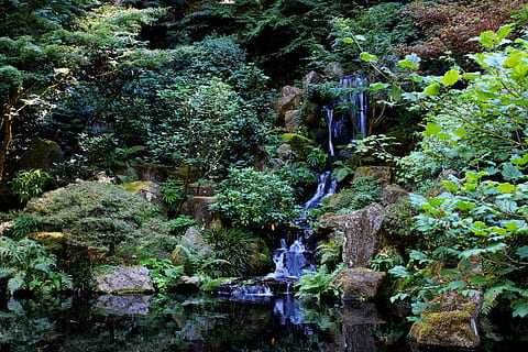 timelapse fotografering, flyder, vandfald, strøm, zen, landskab, bæk, udendørs, flyde, rolig, natur, vand, grøn, naturskøn, have, japansk, Dam, afspejling, plante, træ, skønhed i naturen, vækst, Skov, klippe, rock-objekt, solid, ro, scenics - natur, grøn farve, ingen mennesker, dag, bevægelse, jord, flydende vand, 5K, CC0, offentligt domæne, royaltyfrie