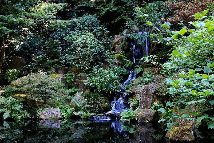 timelapse fotografering, flyder, vandfald, strøm, zen, landskab, bæk, udendørs, flyde, rolig, natur, vand, grøn, naturskøn, have, japansk, Dam, afspejling, plante, træ, skønhed i naturen, vækst, Skov, klippe, rock-objekt, solid, ro, scenics - natur, grøn farve, ingen mennesker, dag, bevægelse, jord, flydende vand, 5K