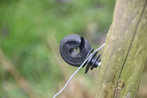 cerca, fijación, cable, ojete, pila, metal, postes aislantes, enviar, demarcación, madera, centrarse en primer plano, de cerca, día, nadie, planta, árbol, al aire libre, naturaleza, color verde, material de madera, seguridad, de color negro, tronco de arbol, la seguridad, proteccion, el maletero, temas de animales, enfoque selectivo, fauna animal, poste de madera, 5K, CC0, dominio público, libre de derechos