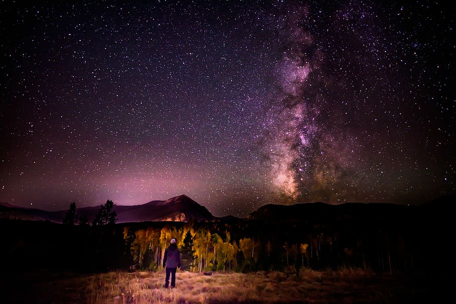 person, stående, træer, stjernehimmel, lilla, hvid, himlen fotografering, stjerne, nat, himmel, træ, bag, tilbage, mørk, silhuet, bjerg, græs, stå, nattehimmel, stjerne - rum, astronomi, en person, galakse, natur, scenics - natur, plads, skønhed i naturen, stjerne felt, jord, fuld længde, bagfra, Mælkevejen, ro, udendørs, 5K