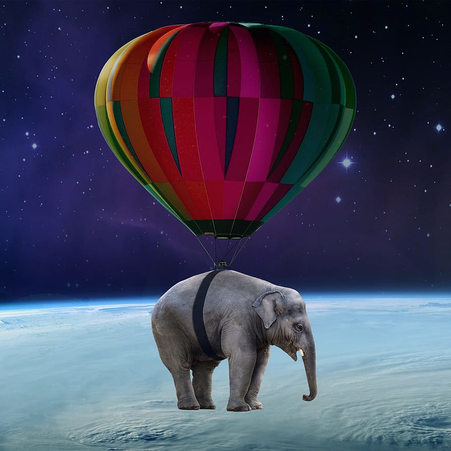 grå, elefant, lilla, hed, luftballon, top, jordoverfladen, ballon, satellit, skyer, kredsløb, rumtekunst, plads, himmel, Afgang, astronaut, vægtløs, billedoverlay, pattedyr, natur, nat, varmluftballon, eventyr, digital komposit, et dyr, stående, ingen mennesker, vand, rejse, transportmidler, husdyr, udendørs, astronomi, 1080P