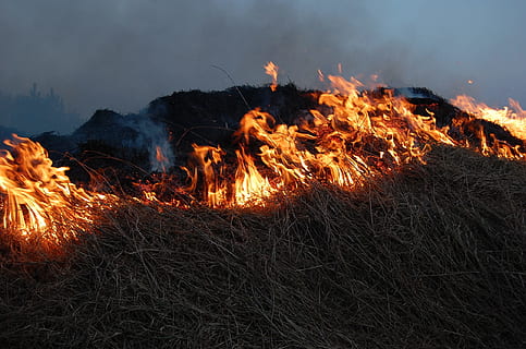 forest fire, night time, fire, flames, hot, light, burn, blaze, leaves, grass, forest, burning, heat - temperature, fire - natural phenomenon, flame, nature, land, glowing, no people, motion, smoke - physical structure, outdoors, night, bonfire, sky, environment, log, wood, orange color, long exposure, campfire, 1080P, CC0, public domain, royalty free