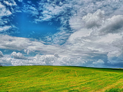 estiu, prat, núvols, blau, rossinyol, verd, camp, a l'aire lliure, cel, assolellat, herba, naturalesa, paisatge, sol, rural, país, escenics, agricultura, núvol - cel, medi ambient, bellesa a la natura, escenics - natura, escena tranquil·la, terra, planta, tranquil·litat, color verd, cap gent, dia, escena rural, escena no urbana, horitzó, 1080P, CC0, domini públic, lliure de regalies