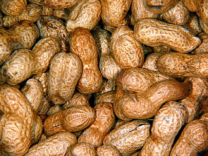 cacauets, fruits secs, cacauet, nou, berenar, nutrició, knabberzeug, deliciós, mossegada, menjar i beguda, menjar, gran grup d'objectes, frescor, marc complet, benestar, fons, alimentació saludable, cap gent, primer pla, mercat, pa, Munt, marró, al forn, abundància, a l'interior, natura morta, venda al detall, espècia, menjar francès, 1080P, CC0, domini públic, lliure de regalies