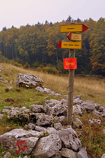 senyal, indicacions, excursió, ruta, bosc, arbre, pedres, sassi, tardor, el camí europeu, e5, lessinia, Itàlia, planta, comunicació, signe, text, naturalesa, cap gent, terra, guió occidental, tranquil·litat, dia, rock, orientació, informació, bellesa a la natura, escena tranquil·la, sòlid, signe d'informació, herba, cel, a l'aire lliure, 4K, CC0, domini públic, lliure de regalies