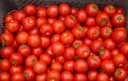 tomaat, rood, groente, voedsel, versheid, biologisch, eten en drinken, gezond eten, welzijn, fruit, grote groep objecten, overvloed, kleinhandel, markt, geen mensen, detailopname, dag, hoge hoekmening, bedrijf, te koop, achtergronden, rijp, producten van eigen bodem, 4K, CC0, publiek domein, royaltyvrij
