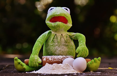 kermit, kurbağa, tutma, yuvarlanan, toplu iğne, pudra, yumurtalar, fırında pişirmek, oklava, Yumurta, un, malzemeler, HAZIRLAMA, hazırlık, açarak yaymak, komik, sevimli, temsil, yaratıcılık, ön plana odaklanmak, Sanat ve zanaat, Gıda, insan temsili, zanaat, yiyecek ve içecek, heykel, sağlıklı beslenme, kapatmak, insansız, kutlama, oyuncak, heykelcik, sebze, yeşil renk, refah, 5K, CC0, kamu malı, telif ücretsiz
