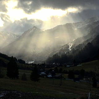Sun, Clouds, Sunbeam, Crow, Landscape, tree, nature, scenics, cloud - sky, fog, beauty in nature, scenics - nature, plant, tranquil scene, environment, tranquility, non-urban scene, sky, land, no people, mountain, field, growth, outdoors, 2K, CC0, public domain, royalty free