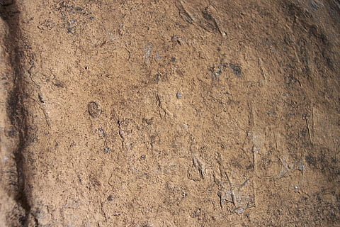 pattern, material, terracotta, textured, backgrounds, full frame, no people, close-up, day, brown, rough, wall - building feature, outdoors, wood - material, nature, built structure, old, weathered, architecture, abstract, tree, directly above, textured effect, 2K, CC0, public domain, royalty free