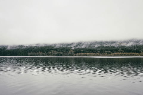 body, water, front, grassfield, body of water, nature, lake, landscape, scenics, sky, tree, outdoors, forest, no People, tranquility, day, tranquil scene, beauty in nature, scenics - nature, plant, copy space, non-urban scene, clear sky, idyllic, environment, 4K, CC0, public domain, royalty free