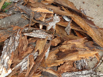 texture 2, hires, background, composition, no people, nature, day, close-up, wood - material, brown, rock, solid, textured, land, outdoors, rock - object, plant, high angle view, rough, geology, tree, full frame, tranquility, tree trunk, eroded, formation, arid climate, 4K, CC0, public domain, royalty free