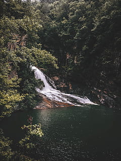 cascades, alt, verd, arbres, durant el dia, cascada, bosc, arbre, corrent, piscina d’aigua, riu, muntanya, aigua, georgium, gorja de tallulah, tallulah, atlantum, bellesa a la natura, escenics - natura, moviment, planta, naturalesa, terra, aigua que flueix, exposició llarga, tranquil·litat, cap gent, dia, creixement, davant del mar, rock, escena no urbana, a l'aire lliure, que flueix, selva tropical, poder a la natura, caient aigua, 1080P, CC0, domini públic, lliure de regalies